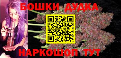 МДПВ Новозыбков