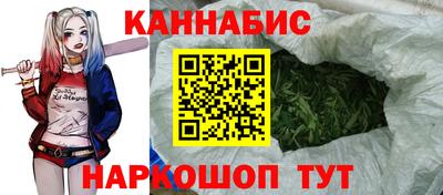 МДПВ Новозыбков