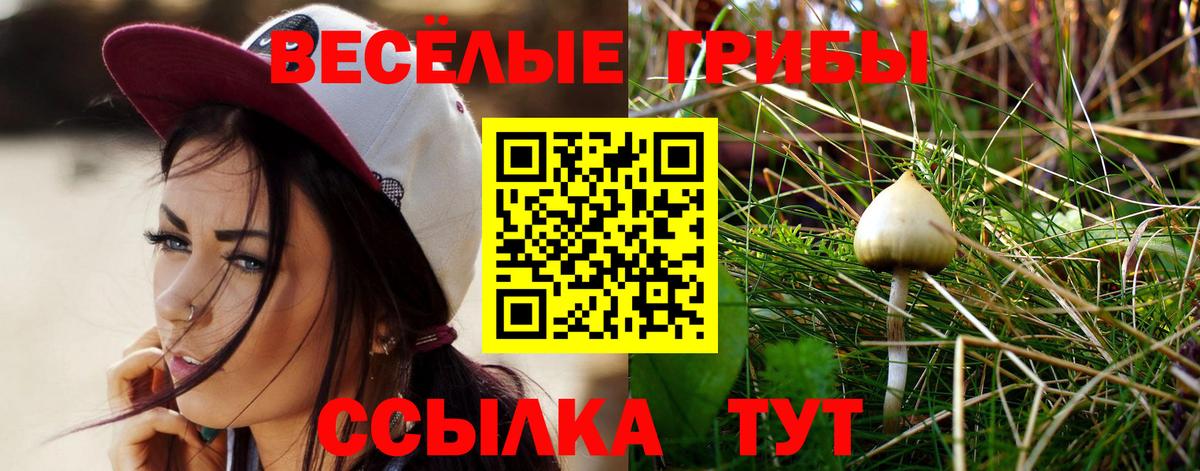 Галлюциногенные грибы MAGIC MUSHROOMS Стрежевой